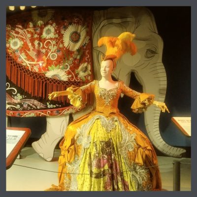 Ringling museum sarasota elephant lady