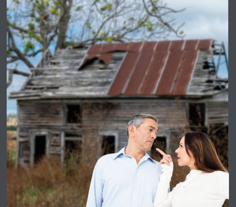 HOW TO HAVE A SUCCESSFUL BUNGALOW RESTORATION, Part 2- Your Significant Other